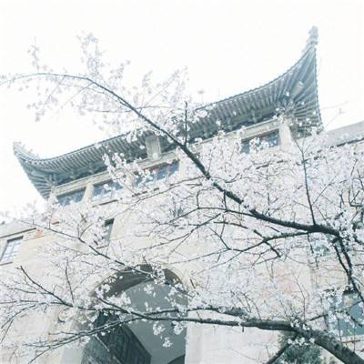 北京教委发布大风黄色预警工作提示：中小学、相关培训机构停止户外活动